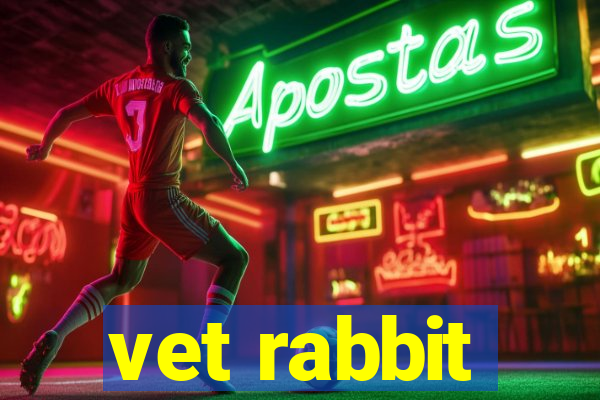 vet rabbit